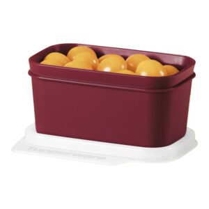 Pote Hermético Basic Line  160ml Bordô