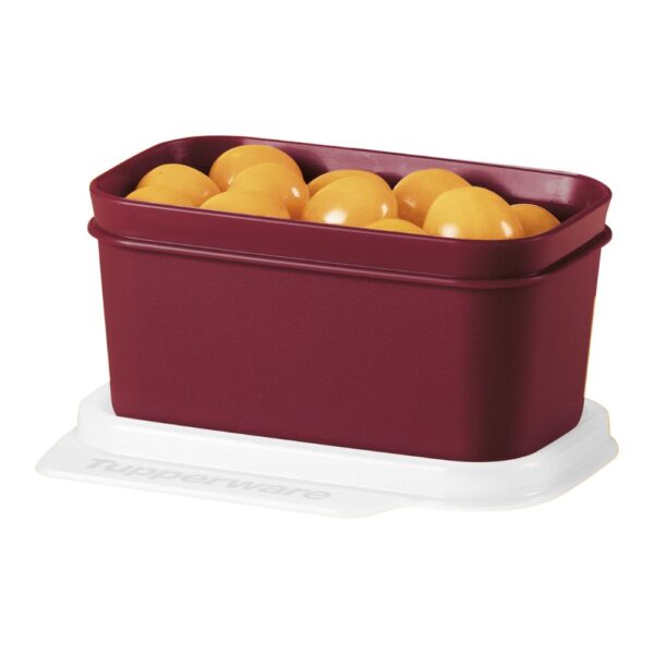 Pote Hermético Basic Line  160ml Bordô