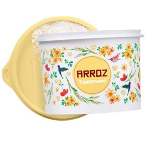 Pote para alimentos Tupper Caixa Arroz  2kg Floral