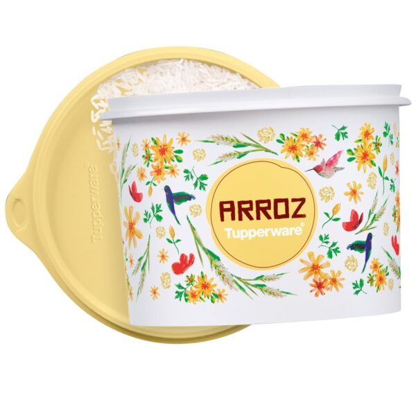 Pote para alimentos Tupper Caixa Arroz  2kg Floral