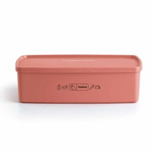 Pote Hermético Ideal  Tema Mix Frango 1,4L