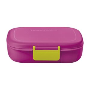 Porta Lanche com Divisórias  Descomplica Rosa Escuro 825ml