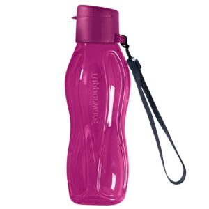 Garrafa Eco Tupper  310ml Beterraba