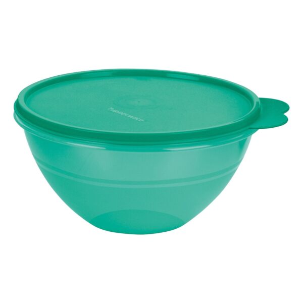 Tigela Bowl Maravilhosa  1L Verde Água