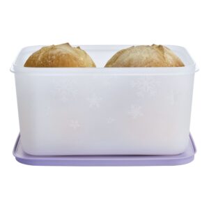 Pote Hermético para Congelamento  Freezer Line Roxo Ametista 2,5L
