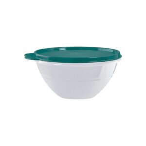 Tigela Bowl Maravilhosa  500ML Bosque Verde Água