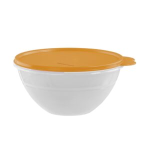 Tigela Bowl Maravilhosa  1L Damasco Amarela