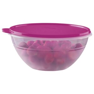 Tigela Bowl Maravilhosa  2,6L Beijo Roxa