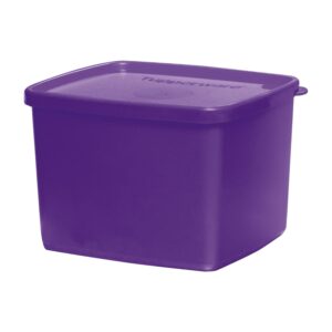 Pote Hermético Jeitoso  800ML Roxo