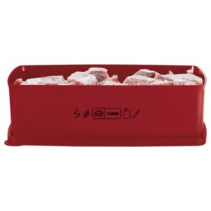Pote Hermético Caixa Ideal  Mix Carne 1,4L
