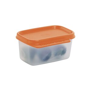 Pote Hermético  Basic Line Laranja Natural 160ml