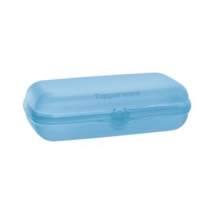 Porta Lanche Tupper Snack  Grande Azul