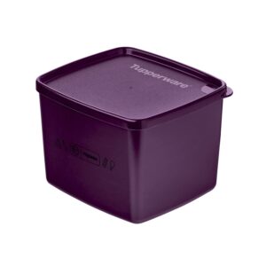 Pote Hermético  Jeitoso Feijoada Roxo 800ml