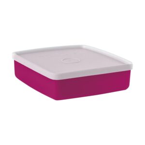 Pote Hermético Refri Box Vinho  400ml Vinho