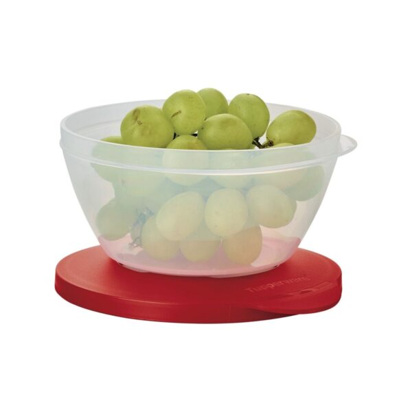 Pote  Style 425ml Carmim